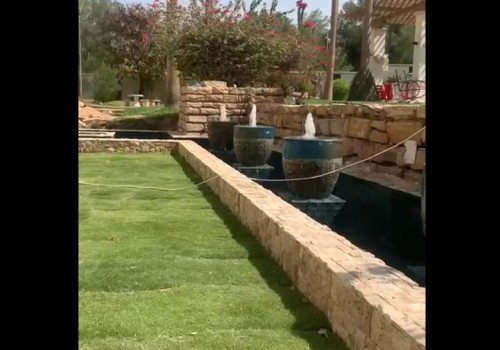 فيديو